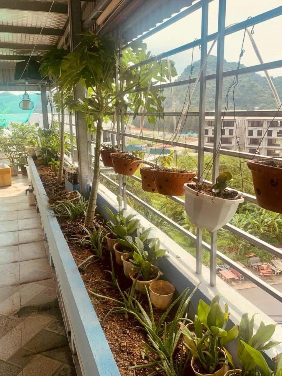 Thu Thuy Hotel Chan Chau エクステリア 写真